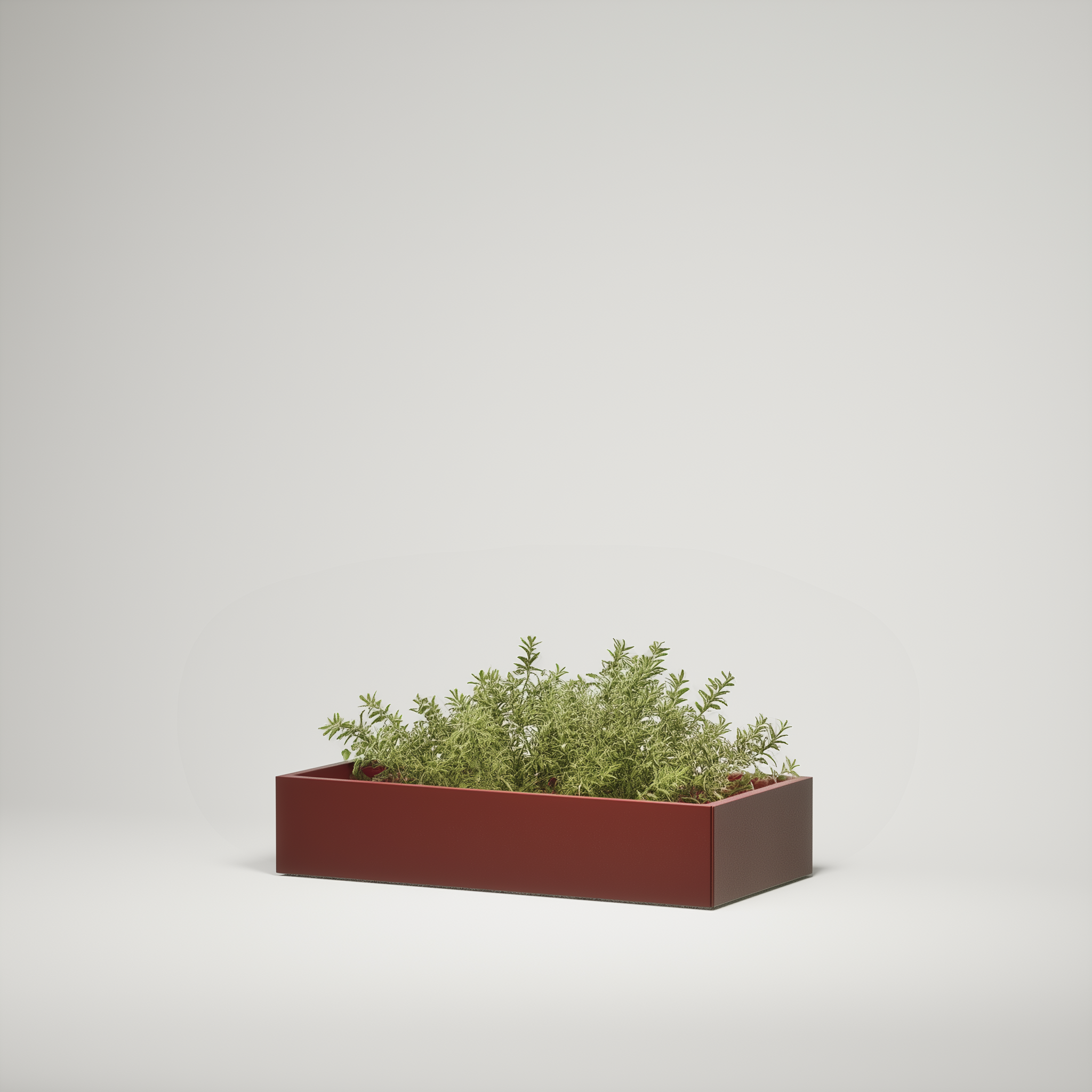 Planters RAL 3005 I Flat Pack